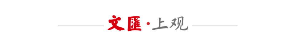 张本智和与, 对阵雨果